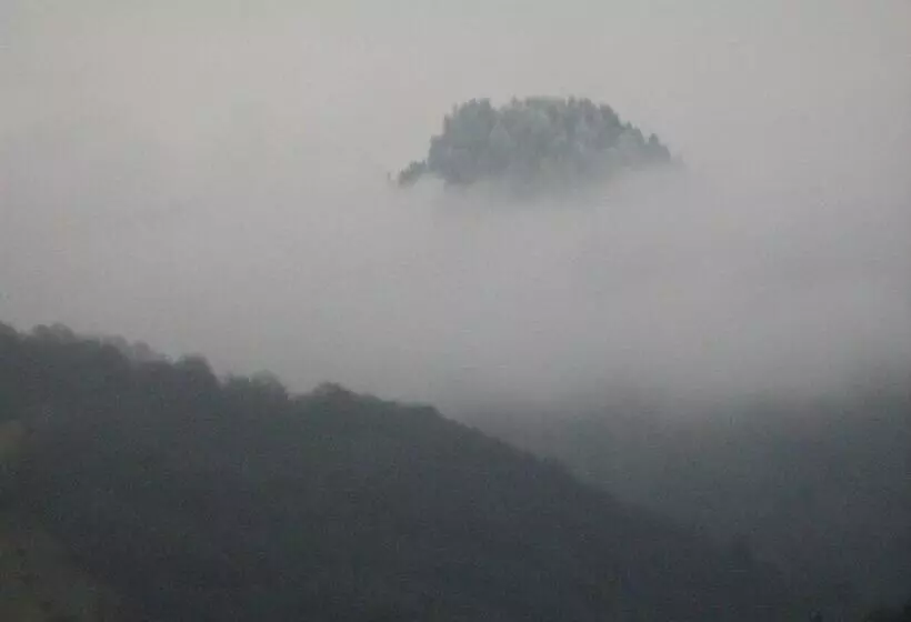 Pensiunea Casa Motilor