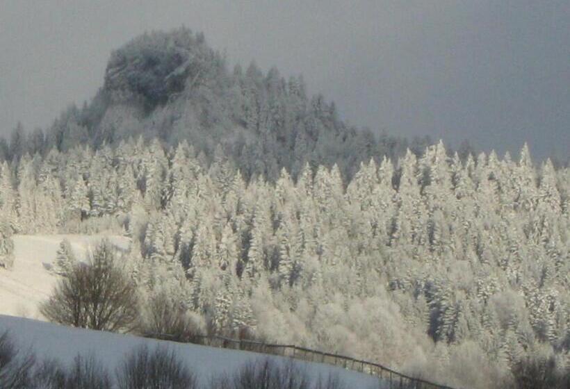 Pensiunea Casa Motilor