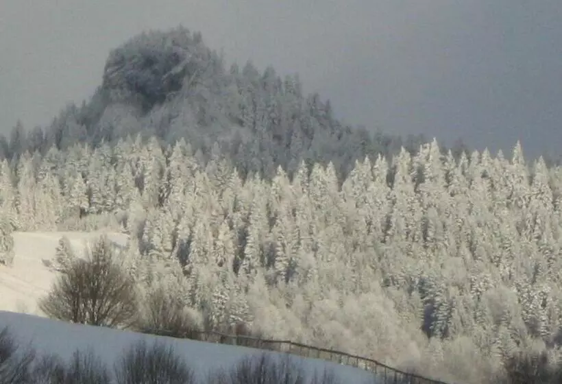 Pensiunea Casa Motilor