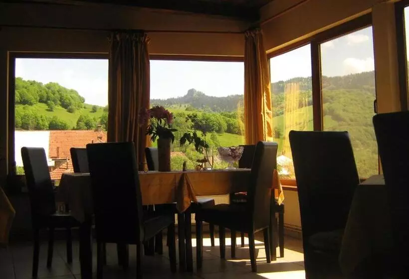 Pensiunea Casa Motilor