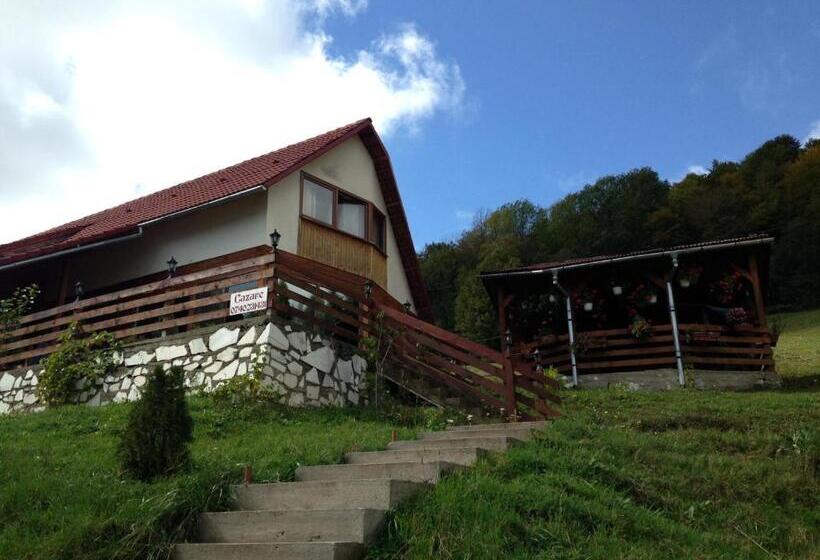 Pensiunea Casa Motilor