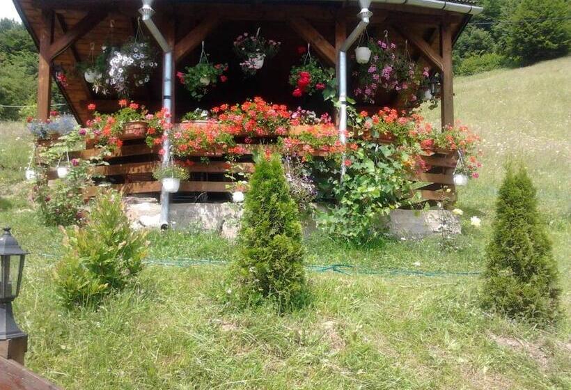 Pensiunea Casa Motilor