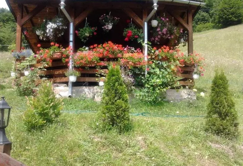 Pensiunea Casa Motilor