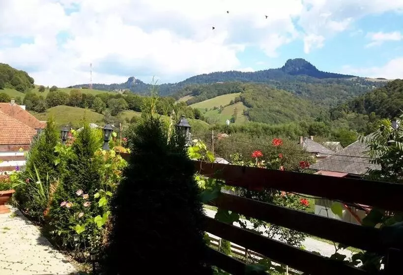 Pensiunea Casa Motilor