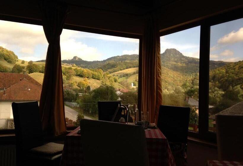 Pensiunea Casa Motilor