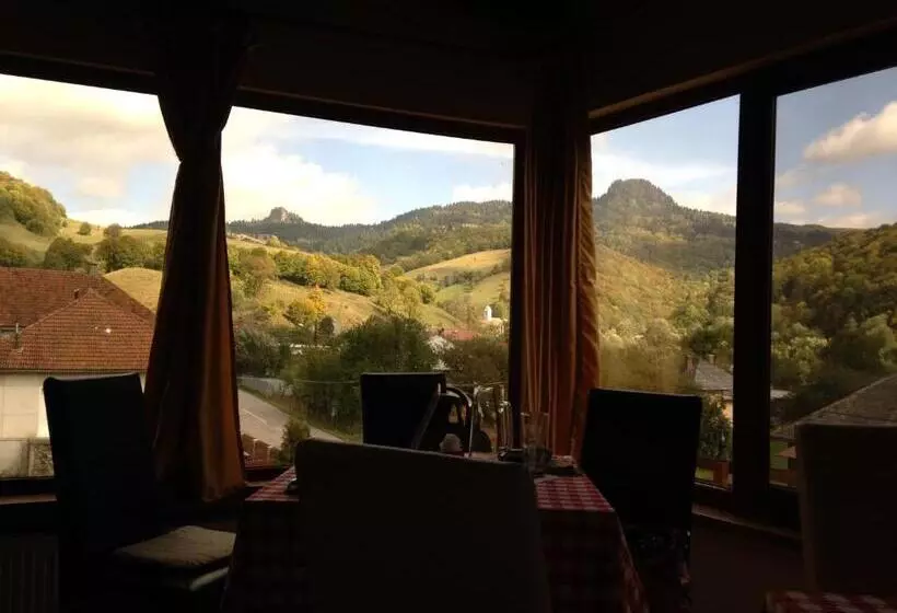 Pensiunea Casa Motilor