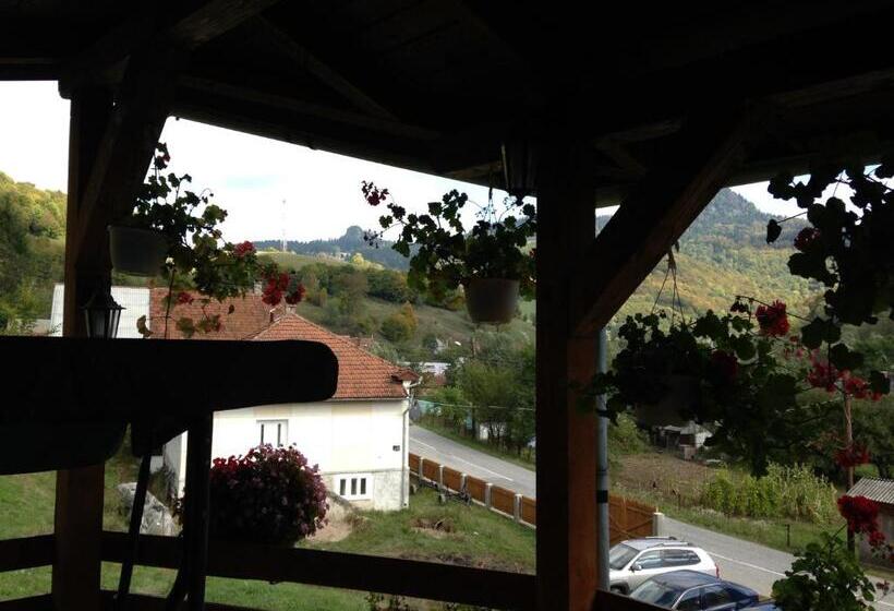 Pensiunea Casa Motilor