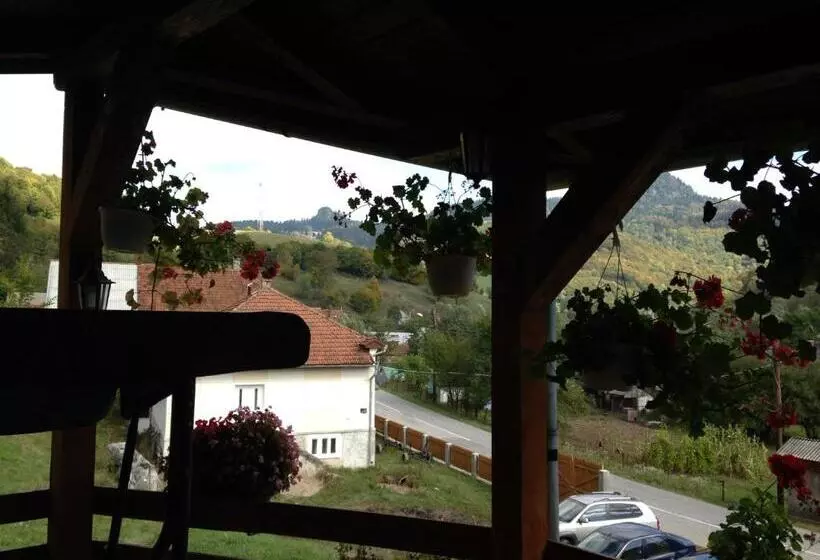 Pensiunea Casa Motilor