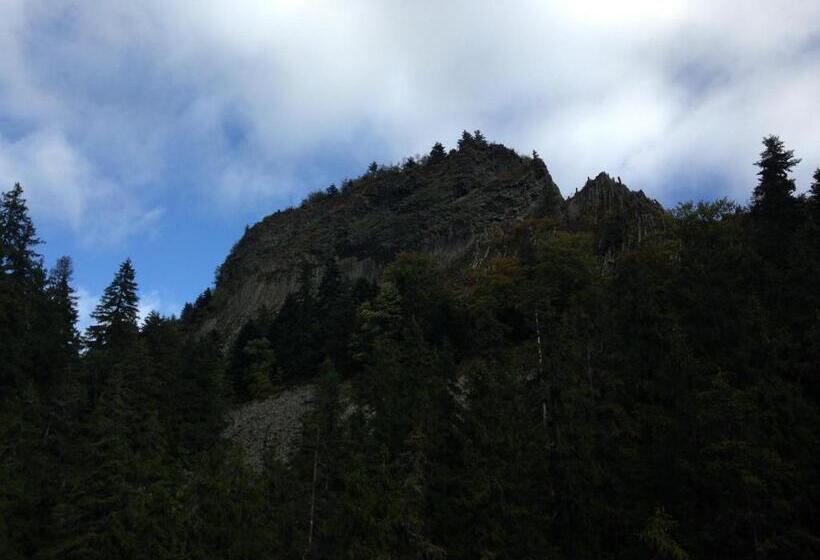 Pensiunea Casa Motilor