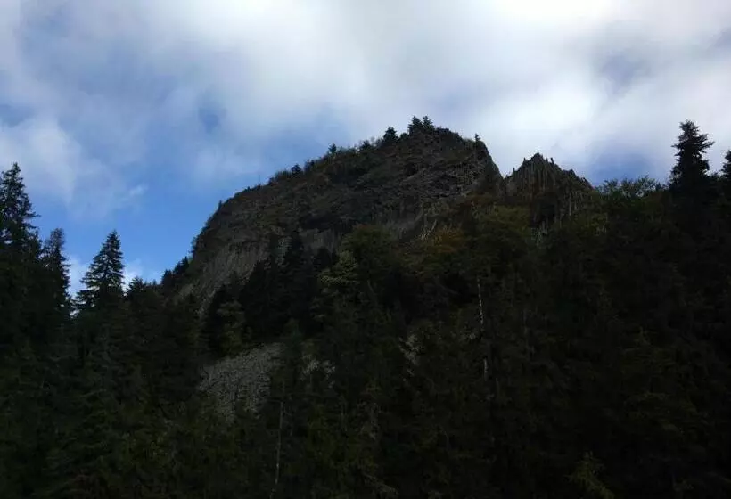 Pensiunea Casa Motilor