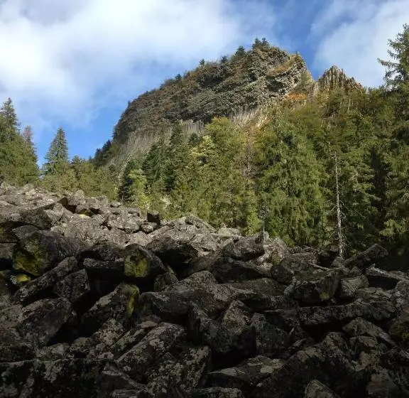 Pensiunea Casa Motilor