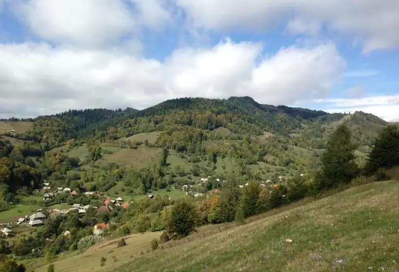 Pensiunea Casa Motilor