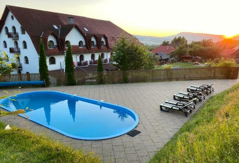 Pensiunea Forrás Panzió