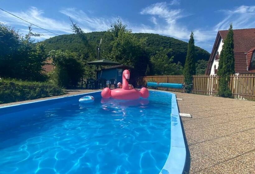 Pensiunea Forrás Panzió