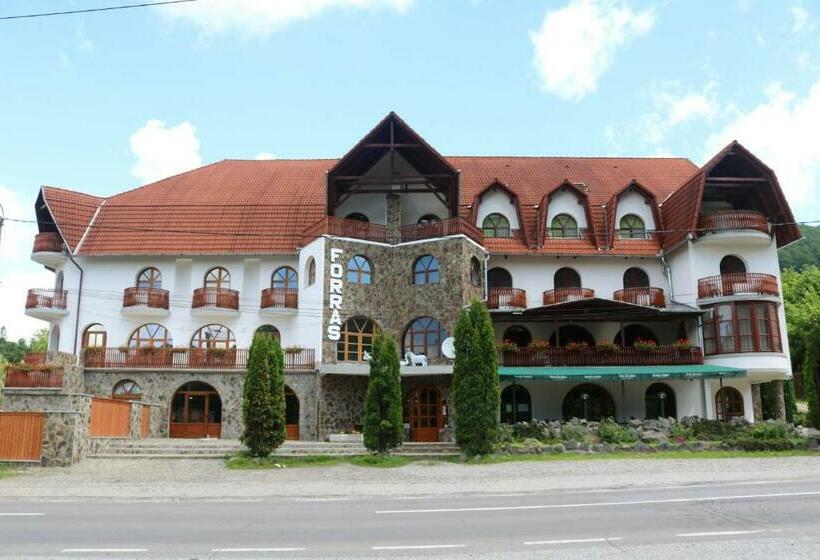 Pensiunea Forrás Panzió