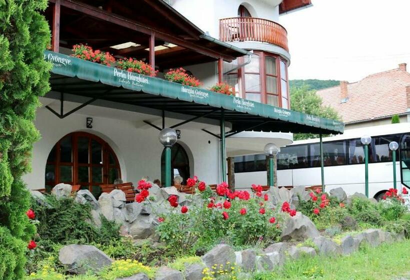 Pensiunea Forrás Panzió