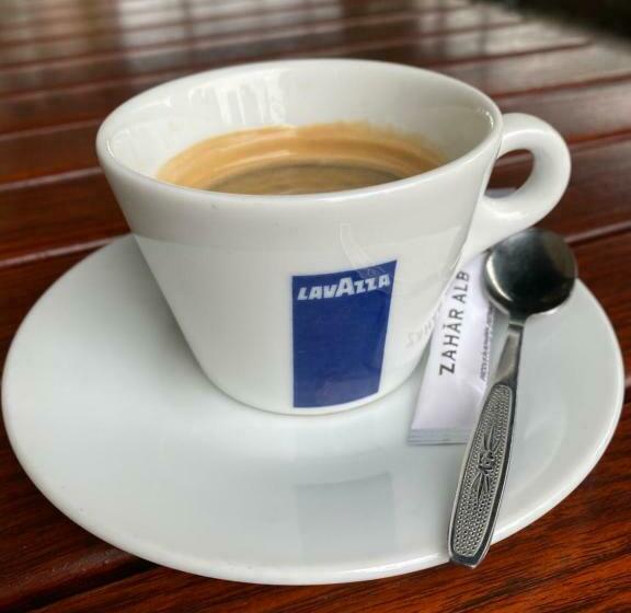 Pensiunea Forrás Panzió