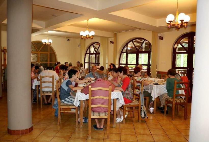 Pensiunea Forrás Panzió