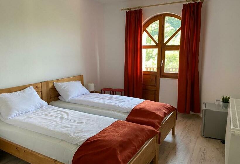 Pensiunea Forrás Panzió