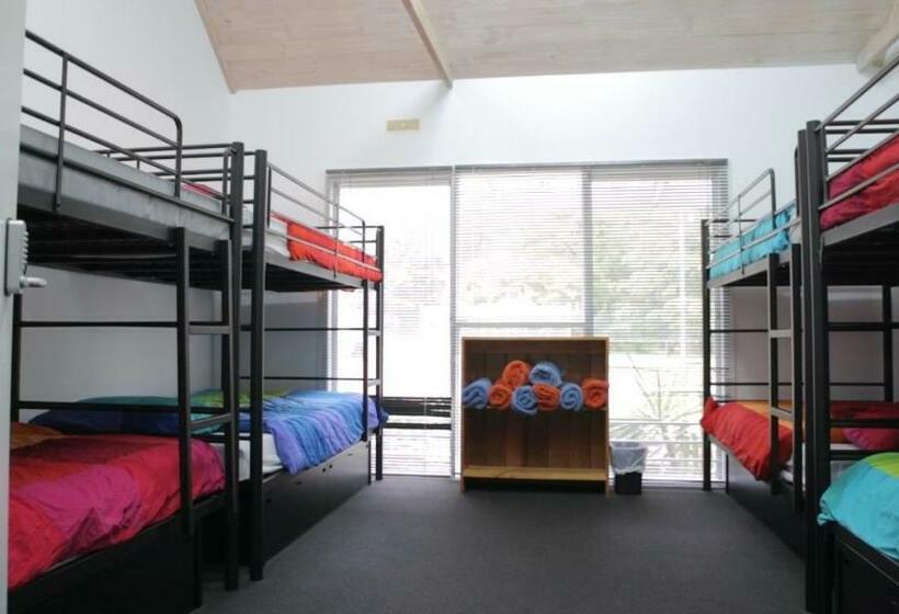 Общежитие Alpine Sports Lodge