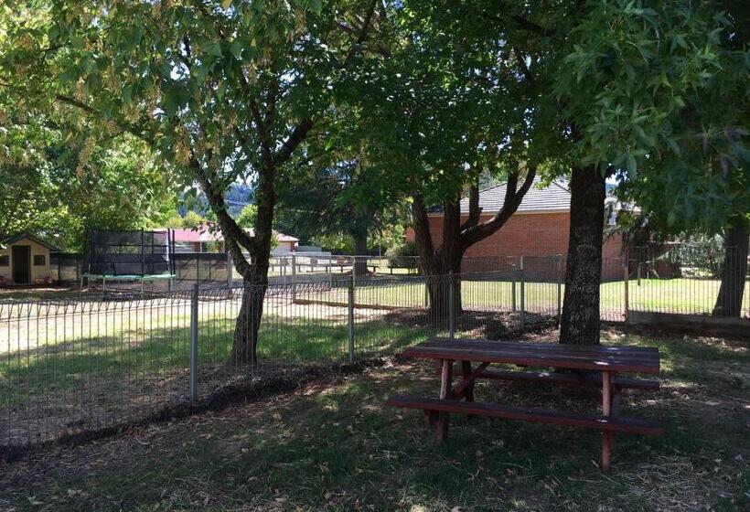 Общежитие Alpine Sports Lodge