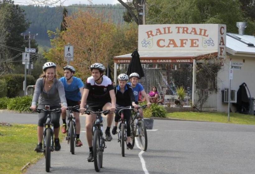 Общежитие Alpine Sports Lodge