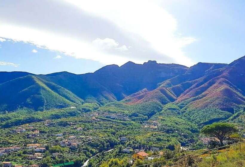 צימר Dream & Relax