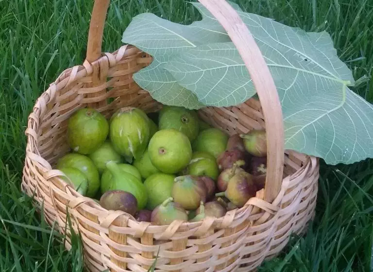 Aamiaismajoitus (B&B) La Residenza Del Marchesato