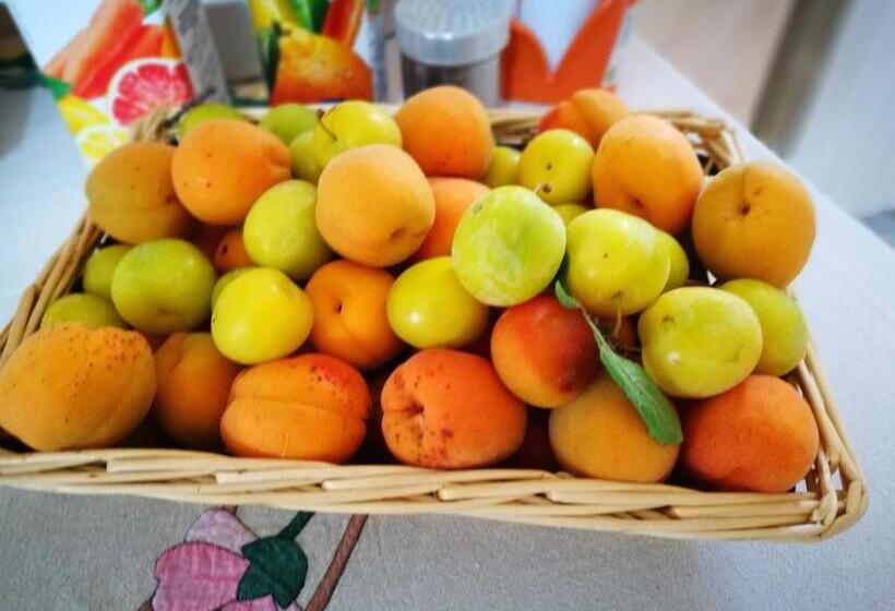 مبيت وإفطار La Residenza Del Marchesato