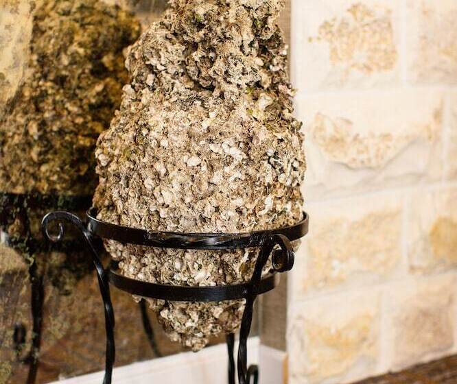 Boutique Hotel Tate By Aycon