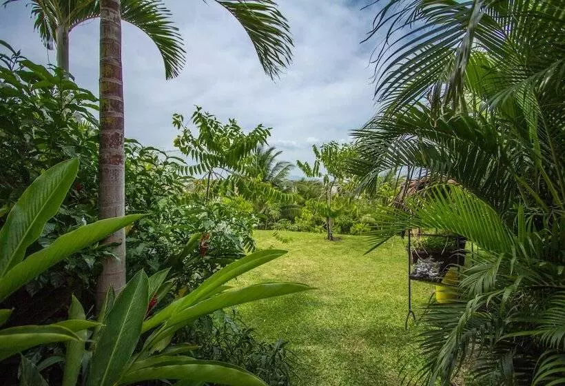 ホテル Arganama Guesthouse