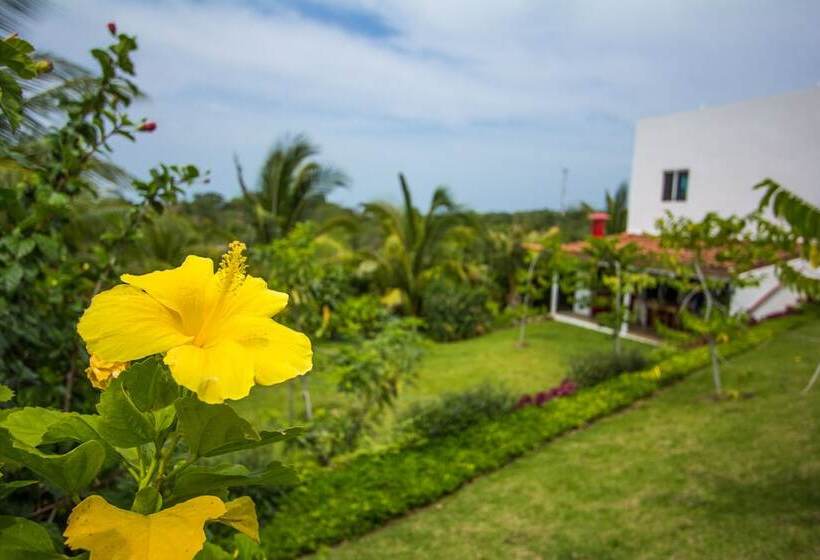 ホテル Arganama Guesthouse