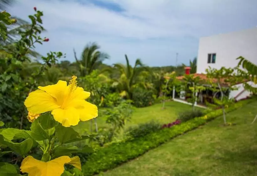 ホテル Arganama Guesthouse