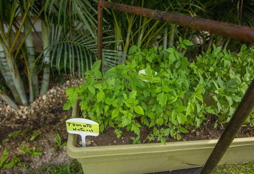 ホテル Arganama Guesthouse