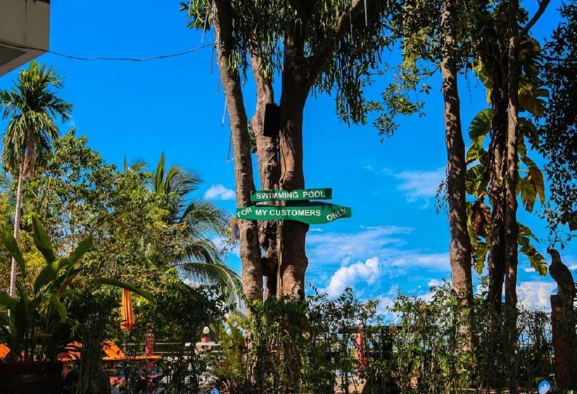 호텔 Golden Hill Backpackers