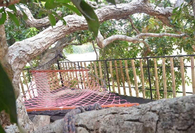 Hotel Leopard Lakes, Wilpattu