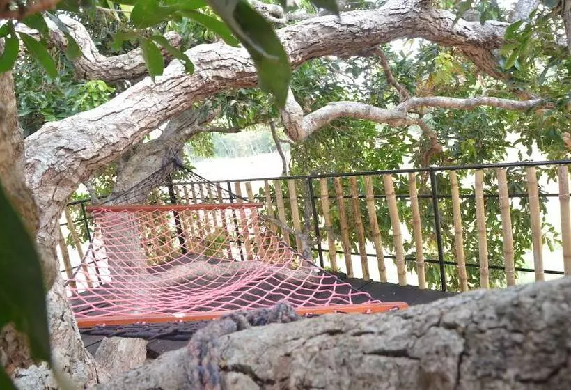 هتل Leopard Lakes, Wilpattu