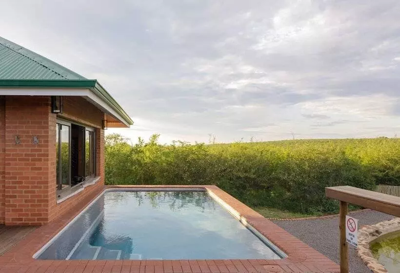 Hotelli Rockfig Lodge Madikwe