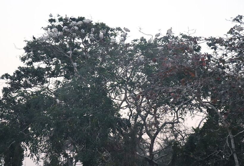 호텔 Sreekrishna Houseboats