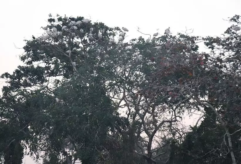 Hotelli Sreekrishna Houseboats