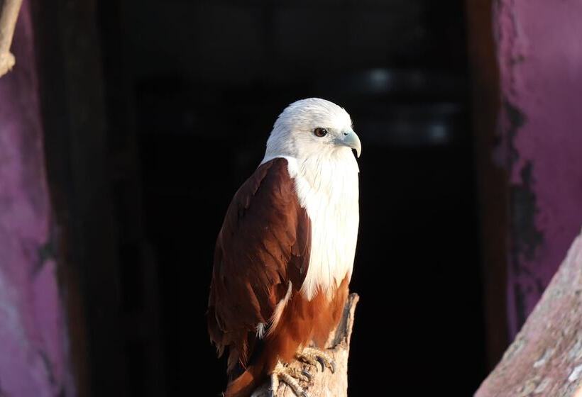 호텔 Sreekrishna Houseboats