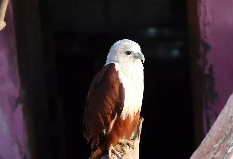 Hotelli Sreekrishna Houseboats