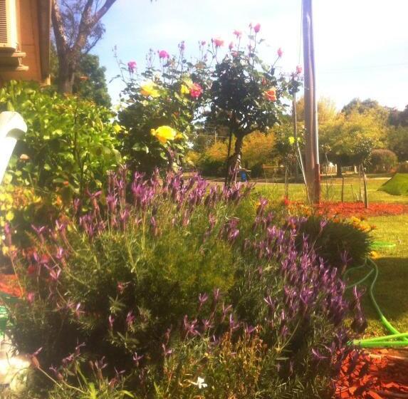 モーテル Bakery Park Motor Inn