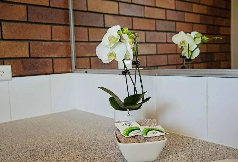 Motelli The Gallery Motor Inn