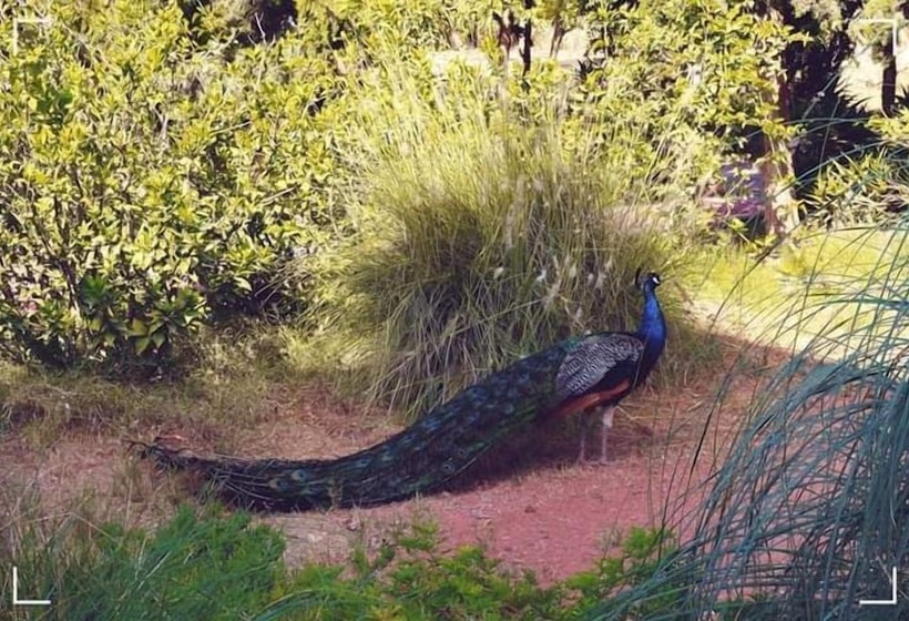 Пансион Dar El Yasmine Biougra