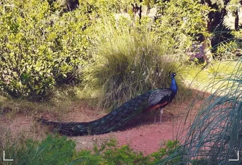 Majatalo Dar El Yasmine Biougra