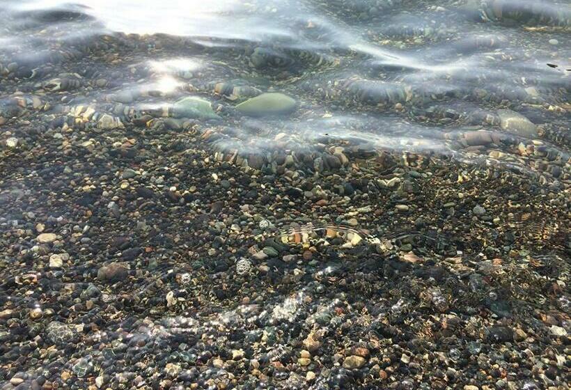 پانسیون Kobuleti