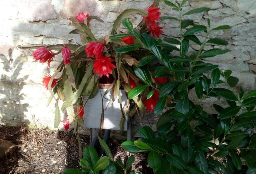 بنسيون Nosztalgia Vendégház