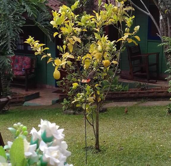 بنسيون Tirol Chalés