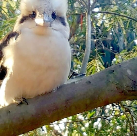 The Nature Resort Villas